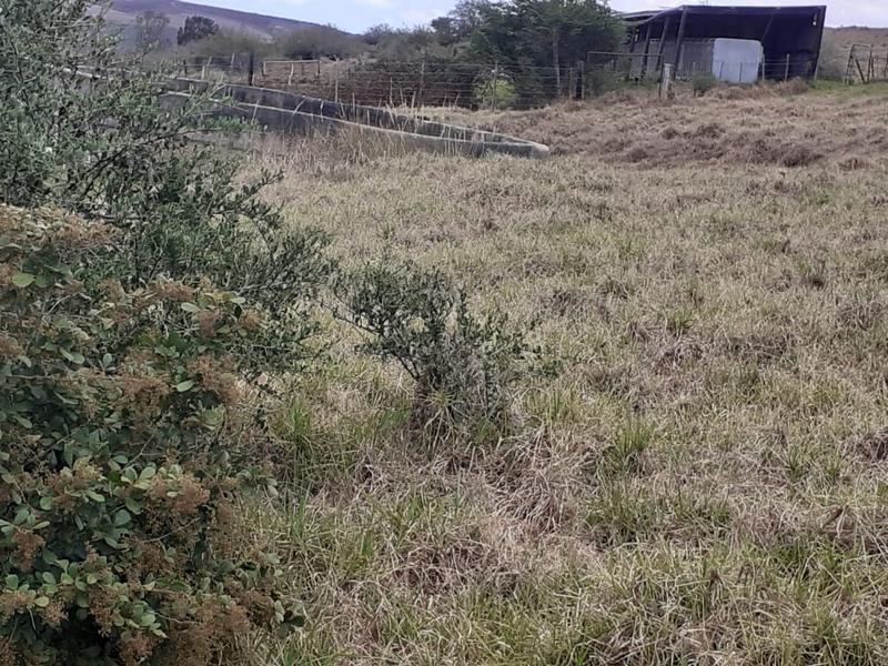 0 Bedroom Property for Sale in Albertinia Western Cape